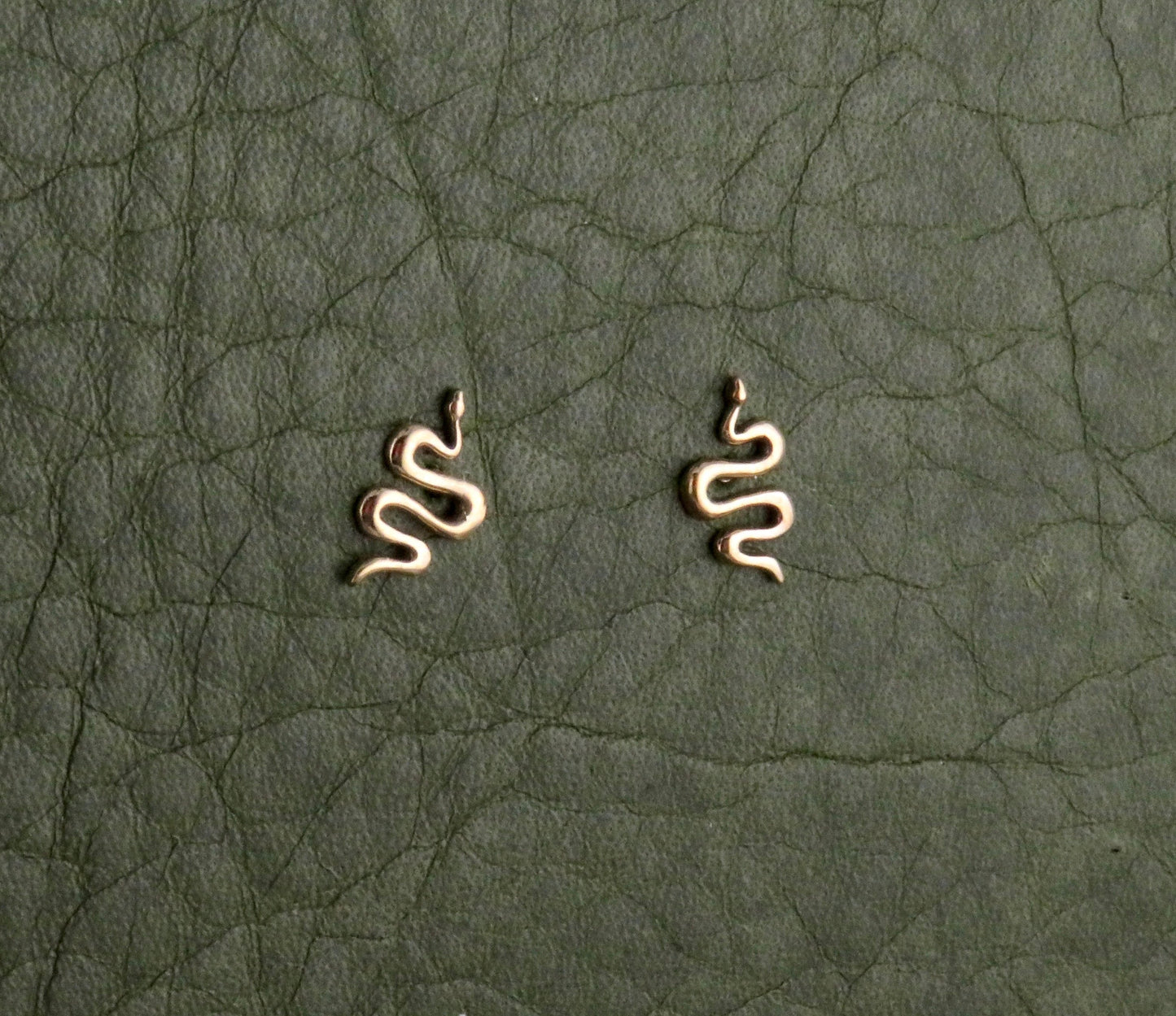 Snake Post Earrings - Bronze